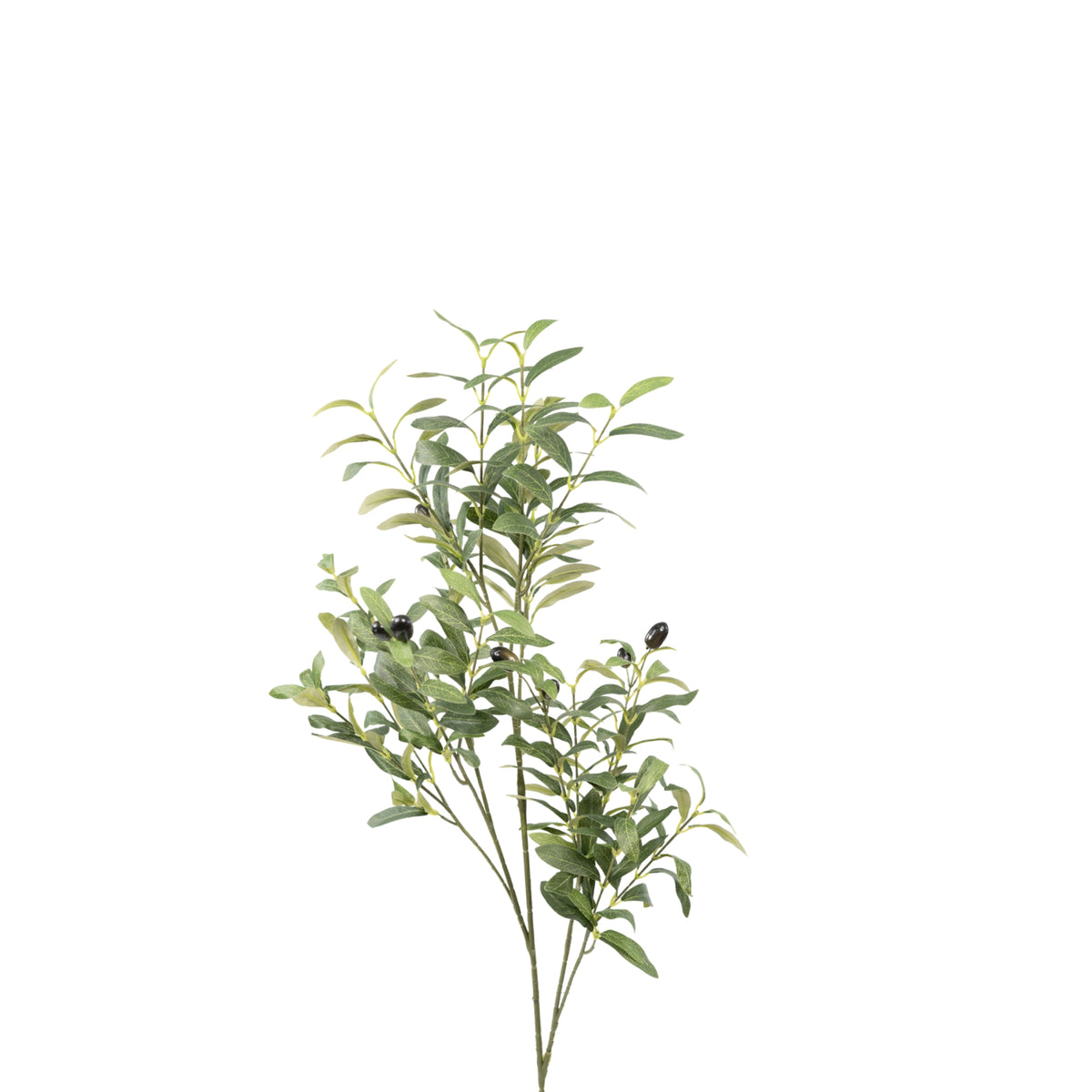Olive Branch with Fruit - 98cm