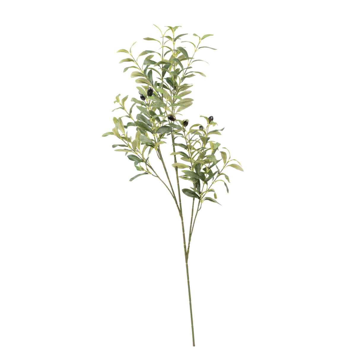 Olive Branch with Fruit - 98cm