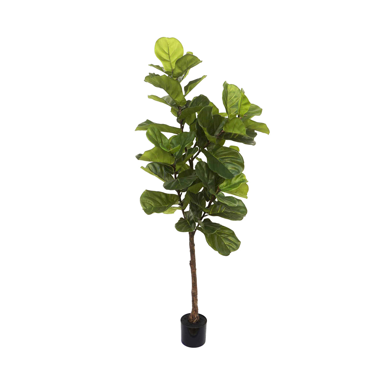Faux Fiddle Leaf Ficus tree 165cm high
