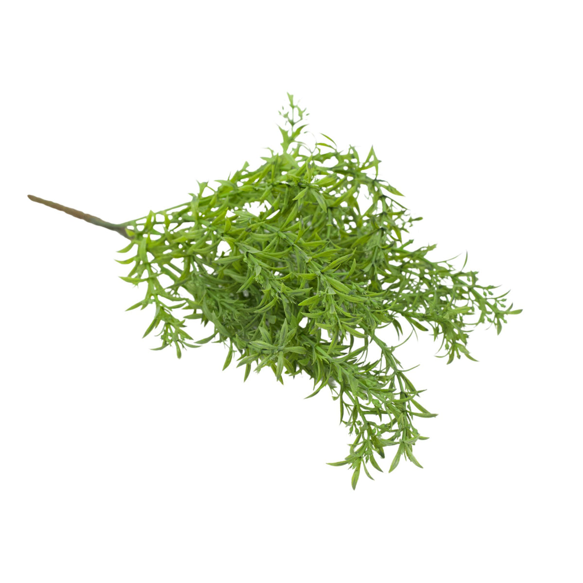 Filler Green Bush in Roman Head Vase