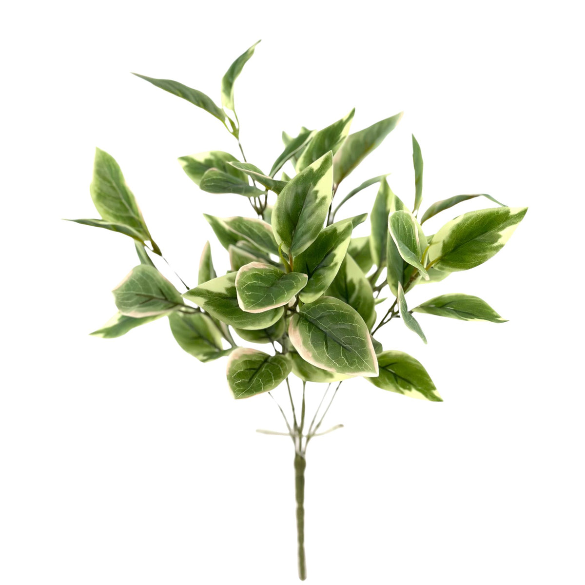 Filler Hoya Leaves Real Touch Bunch x7 Heads