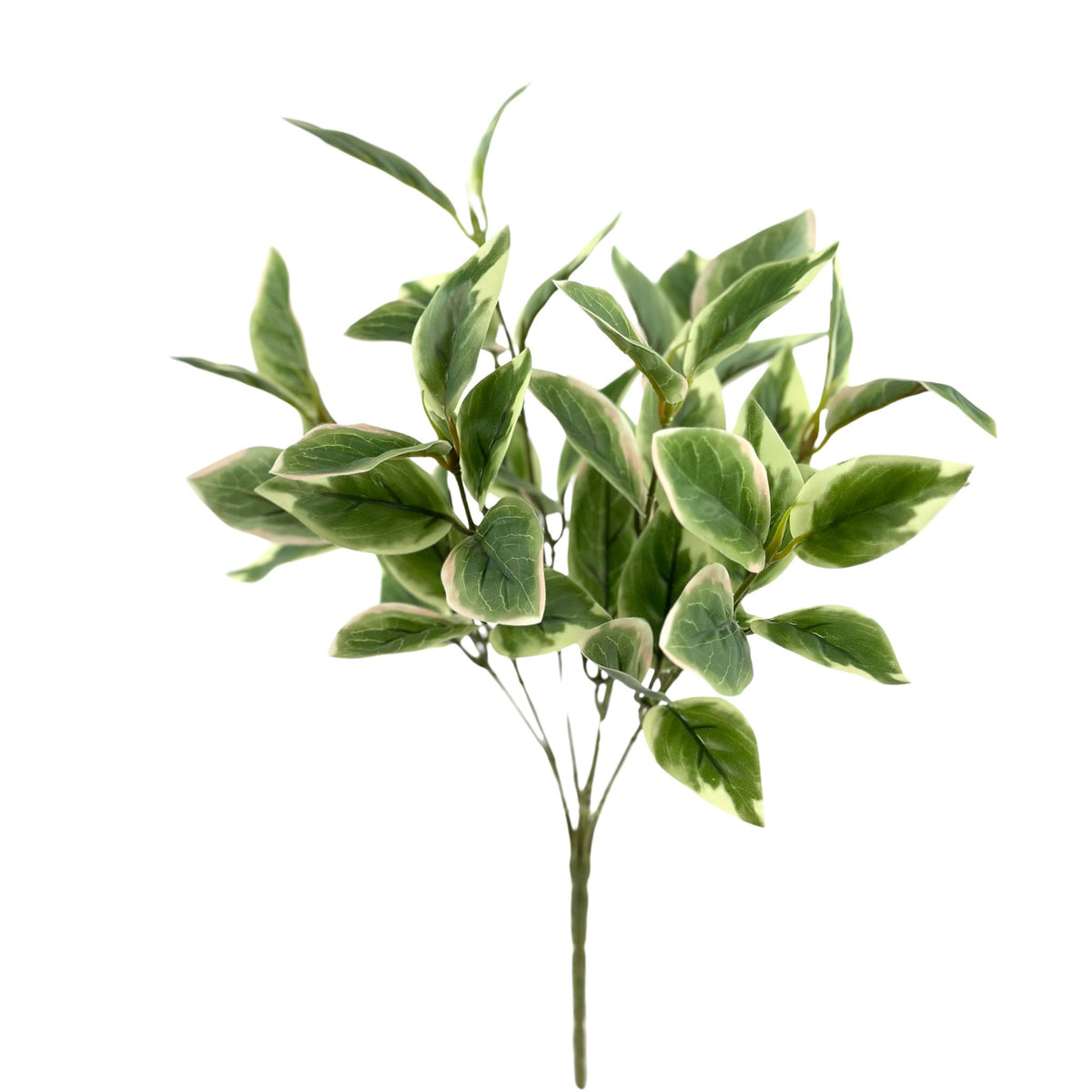Filler Hoya Leaves Real Touch Bunch x7 Heads