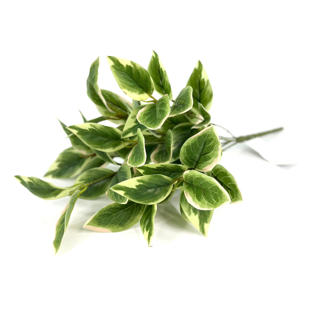 Filler Hoya Leaves Real Touch Bunch x7 Heads
