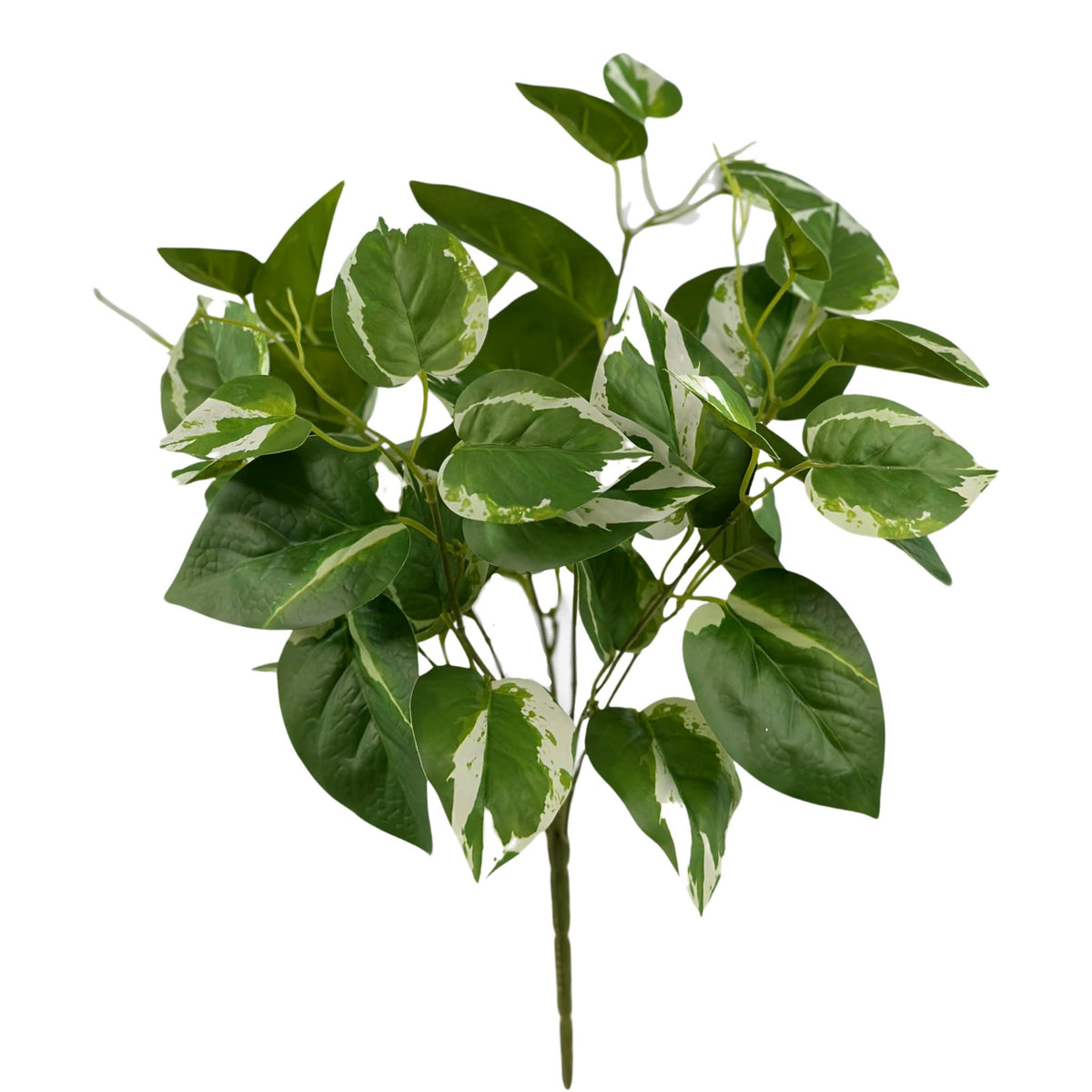 Filler Scindapsus White Green Real Touch Bunch - 45cm. Close up. Available from Plant Couture.
