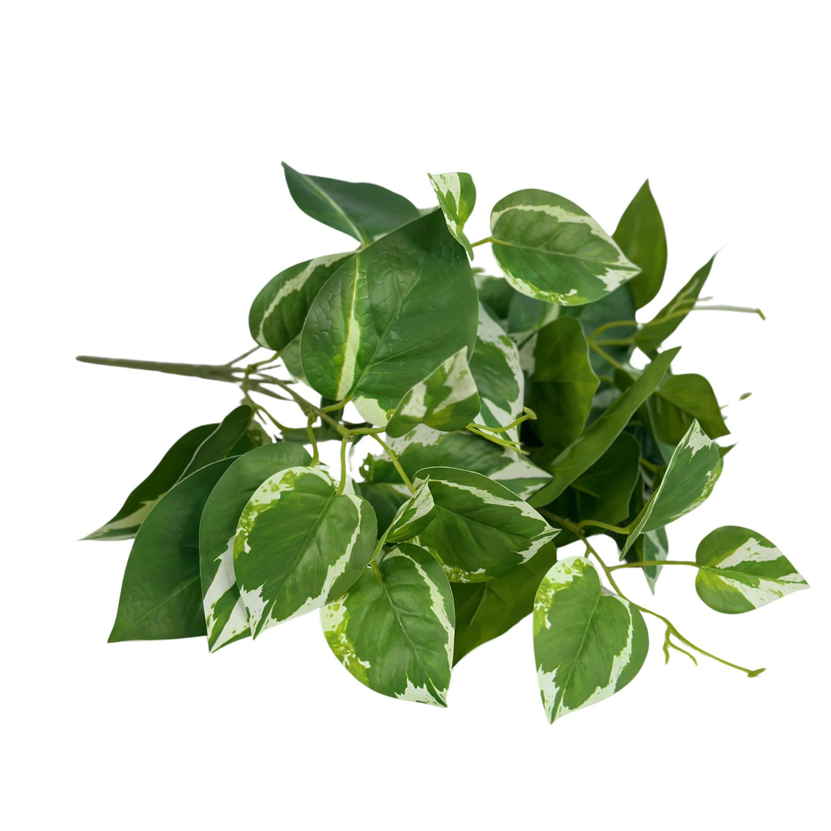 Filler Scindapsus White Green Real Touch Bunch - 45cm. Top view lying on side. Available from Plant Couture.
