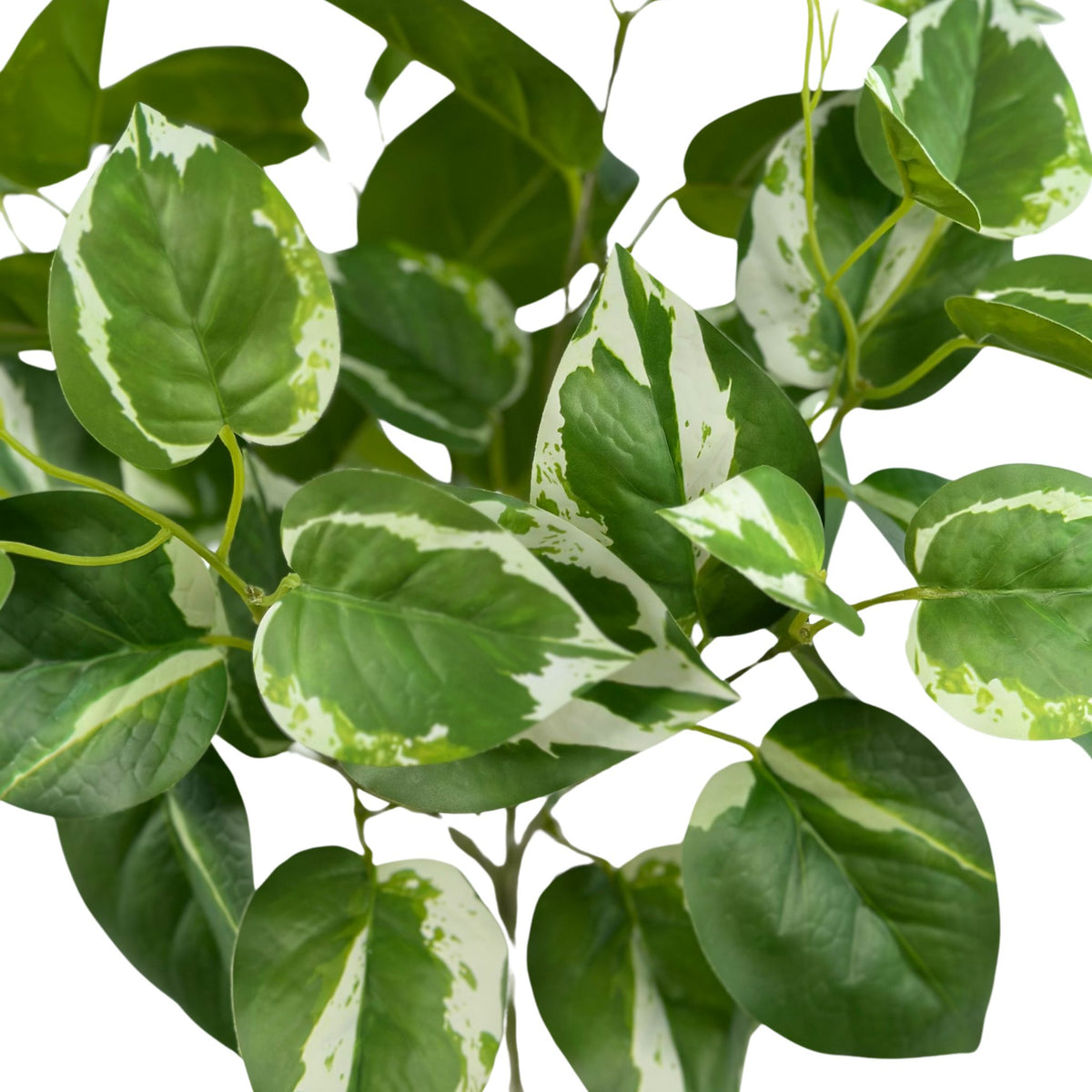 Filler Scindapsus White Green Real Touch Bunch - 45cm. Close up. Available from Plant Couture.