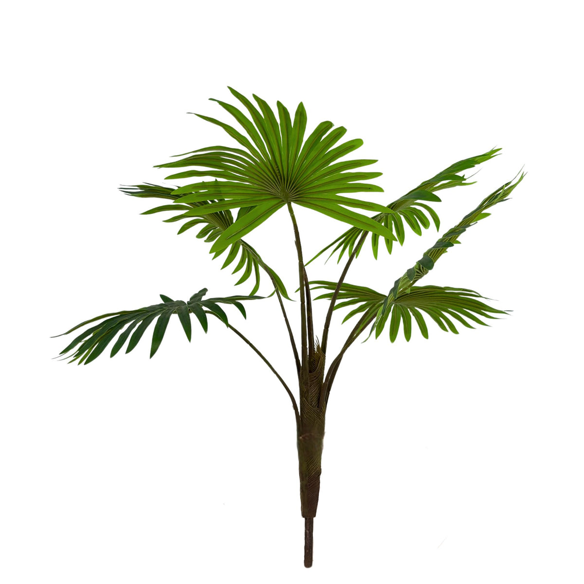 Filler Rhapisgracilis Real Touch x6 Bush - 55cm. Close up view of the artificial plant. Available from Plant Couture.