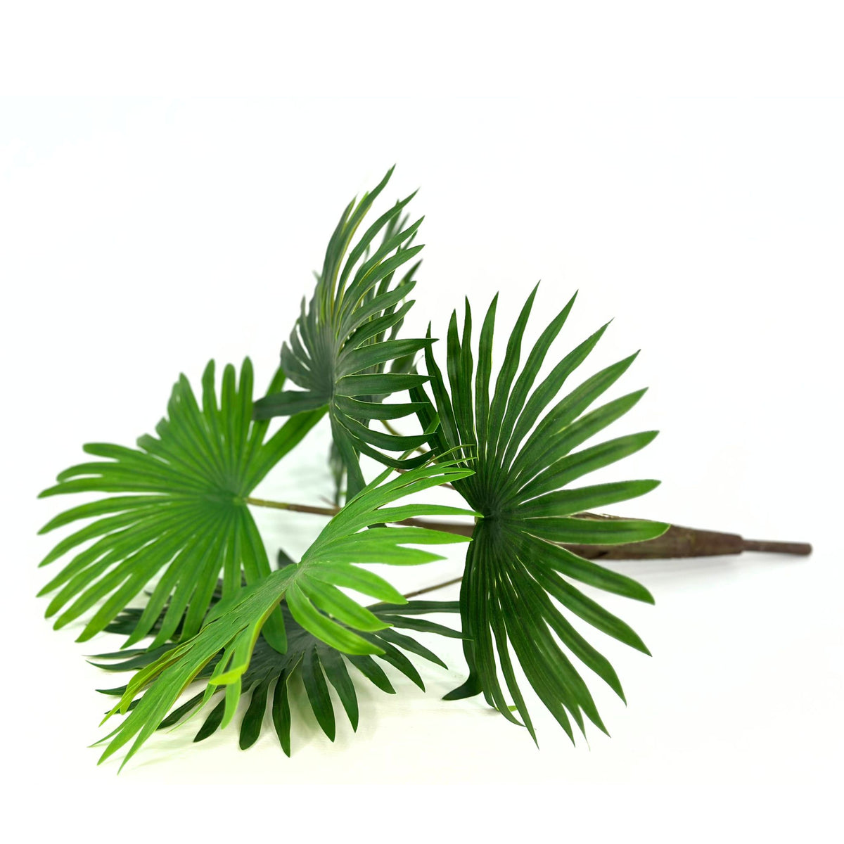 Filler Rhapisgracilis Real Touch x6 Bush - 55cm. Lying down view of the artificial plant. Available from Plant Couture.
