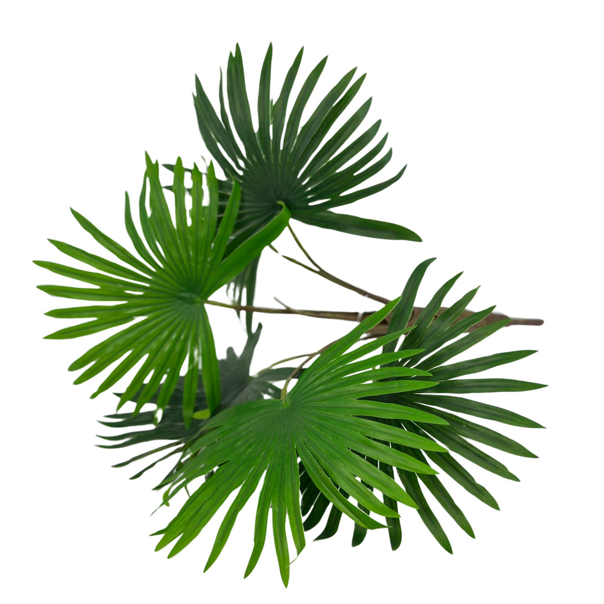 Filler Rhapisgracilis Real Touch x6 Bush - 55cm. Close up top view of the artificial plant. Available from Plant Couture.