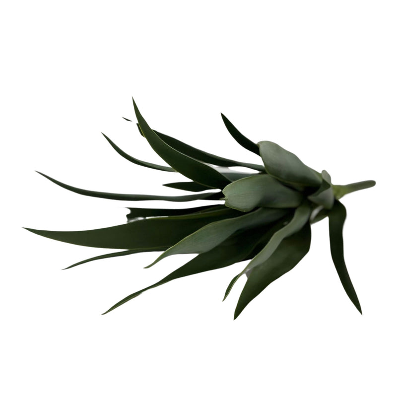 Filler Yucca - 42cm. Side view of artificial plant available from Plant Couture.