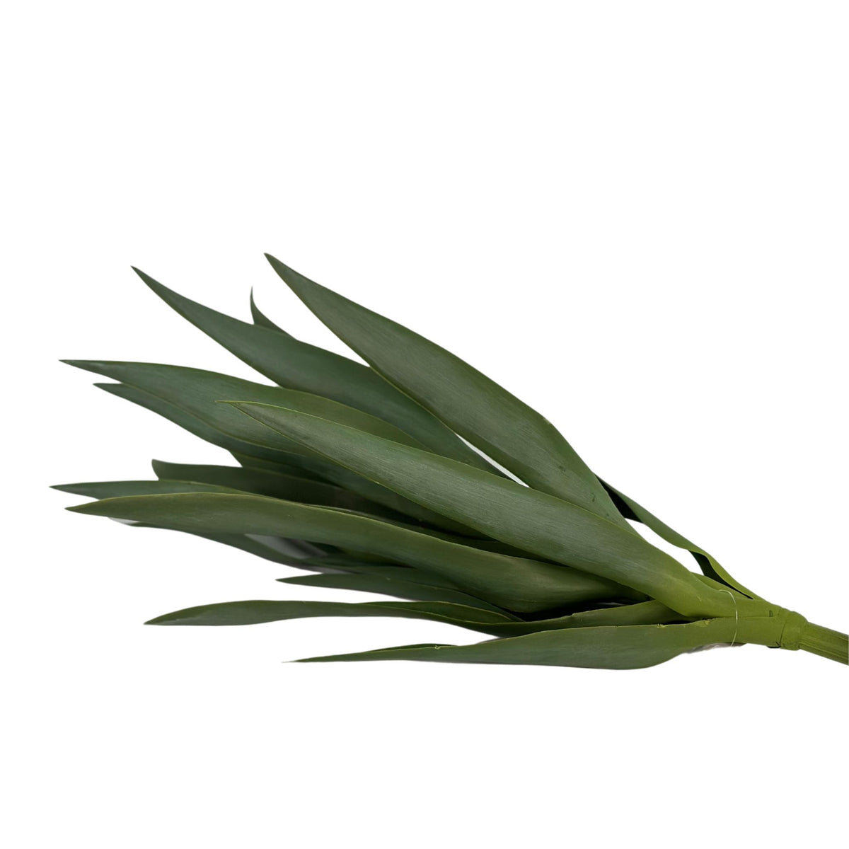 Filler Yucca - 62cm. Close up view of artificial plant lying down. Available from Plant Couture.