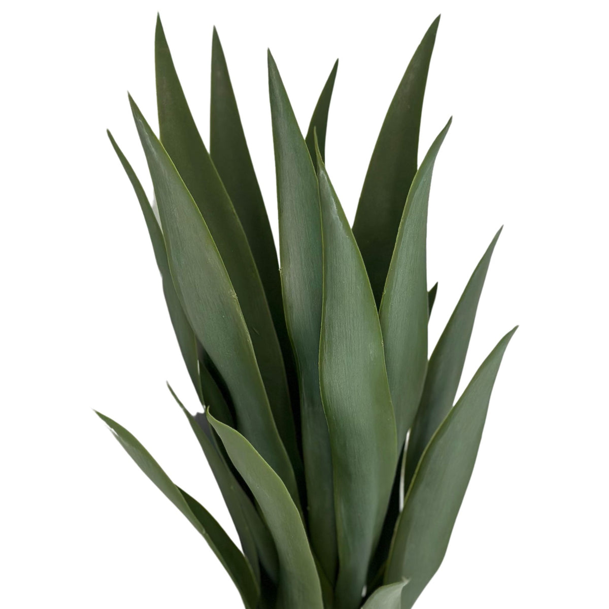Filler Yucca - 62cm. Close up view of artificial plant standing straight. Available from Plant Couture.