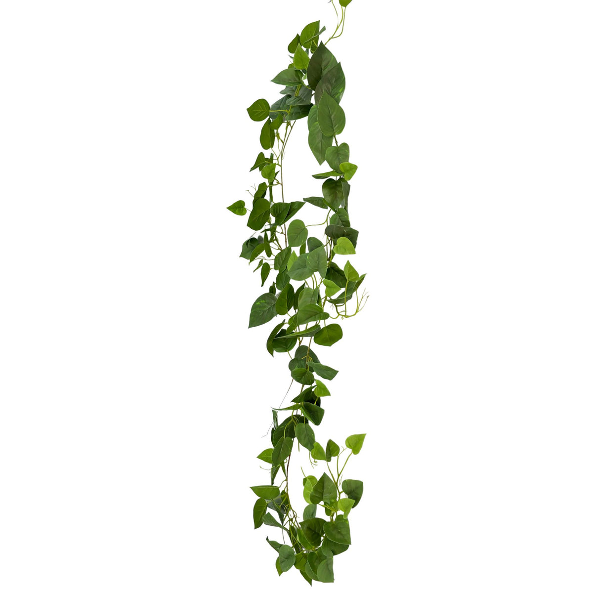 Hanging Scindapsus Real Touch Vine - 250cm. Full length view. Available from Plant Couture.