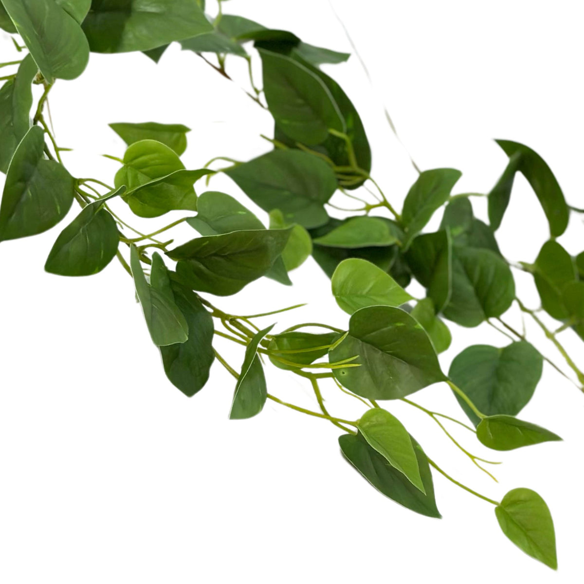 Hanging Scindapsus Real Touch Vine - 250cm. Close up view. Available from Plant Couture.