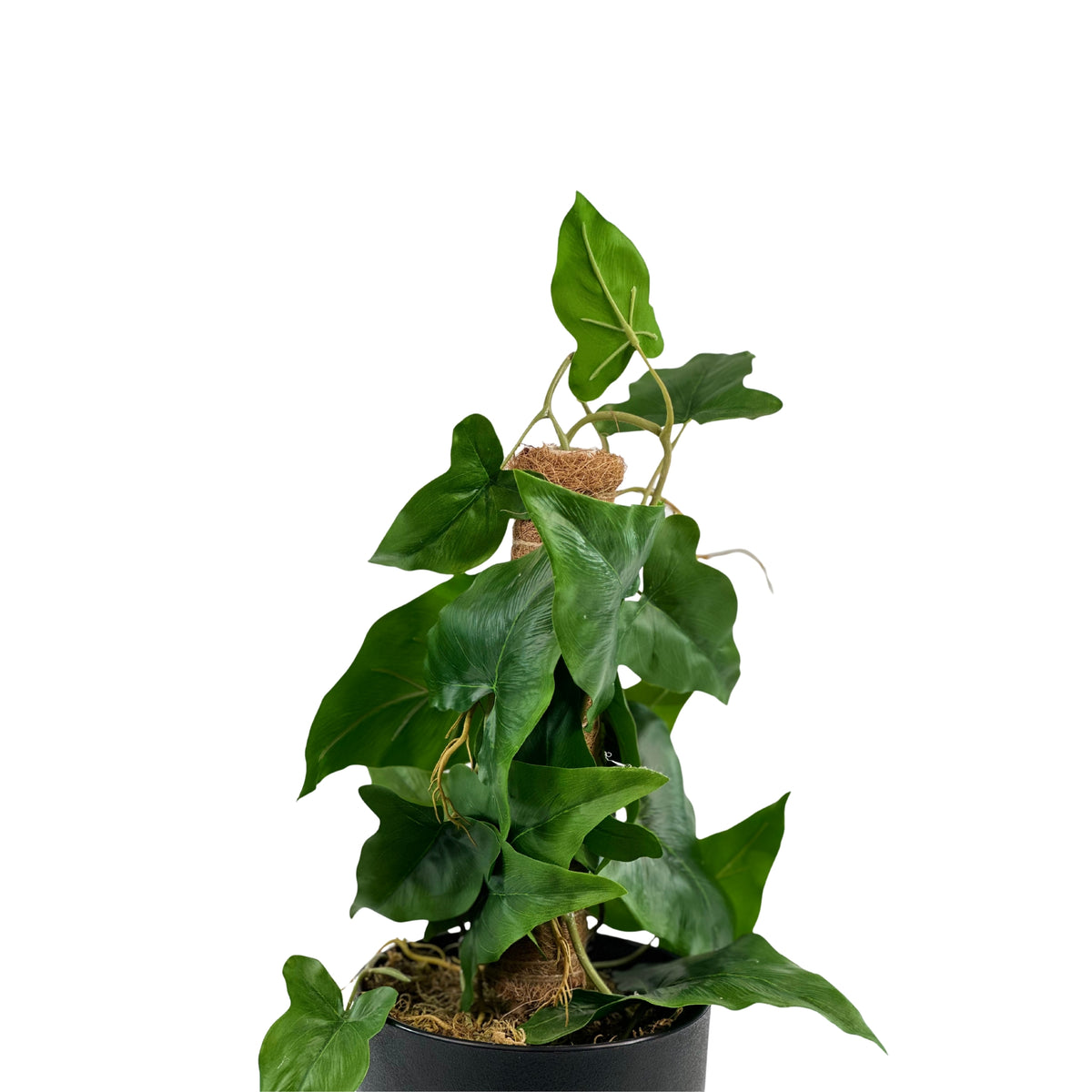 Potted Arrowhead MossPole - 56cm. Artificial plants potted available from Plant Couture. www.plantcouture.co.za