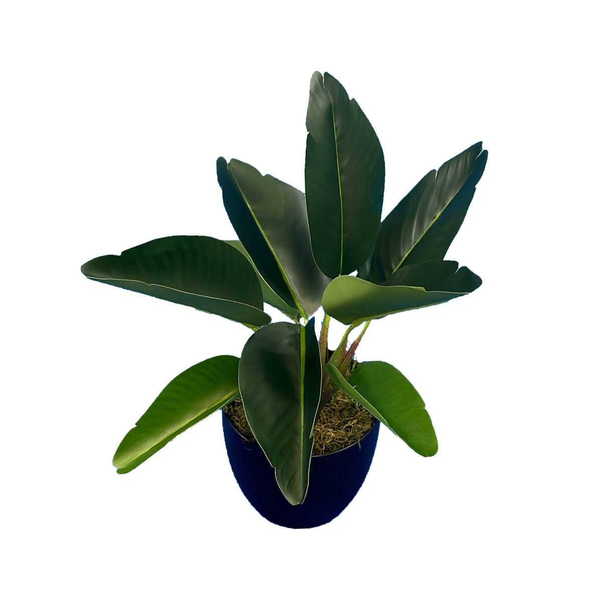 ARTIFICIAL MININ BANAN LEAF PLANTS POTTED