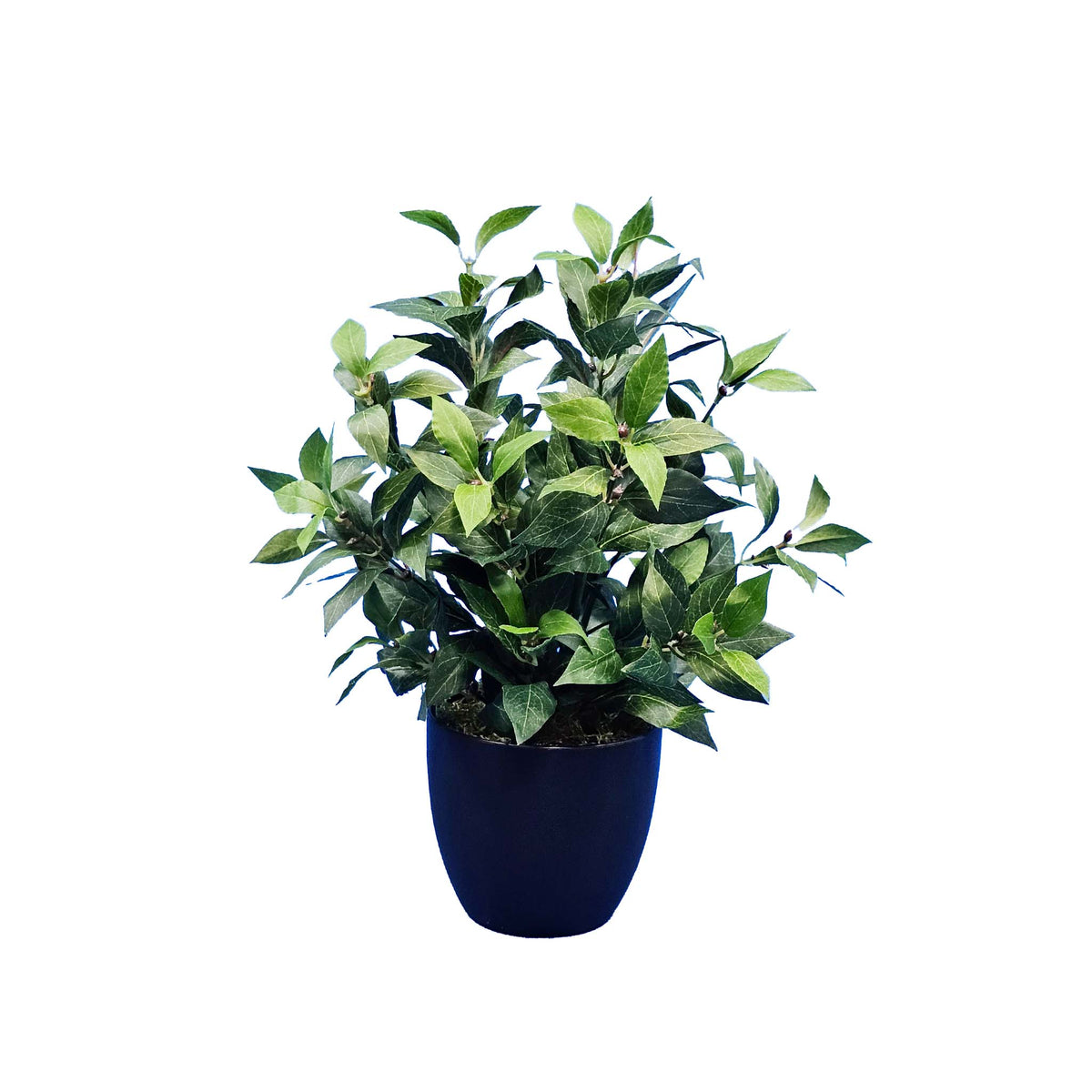 FAUX BAY LEAF POTTED 40CM