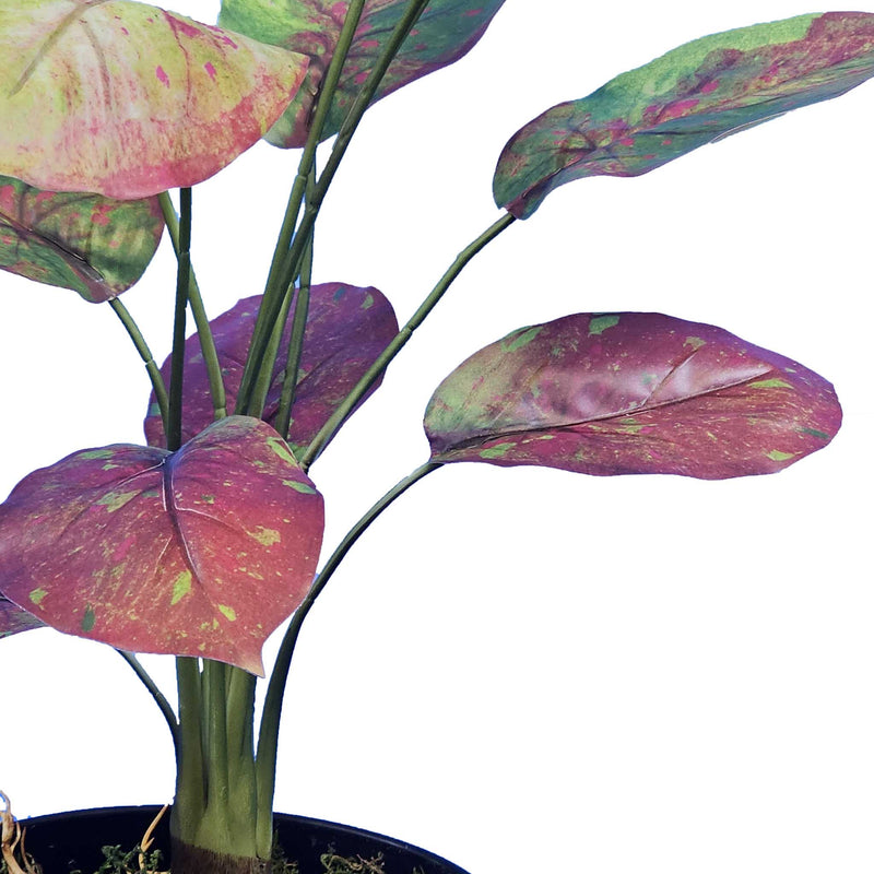 ARTIFICIAL MARANTA PLANT RED GREEN LEAVES 60CM WITH ROOTS CLOSE UP