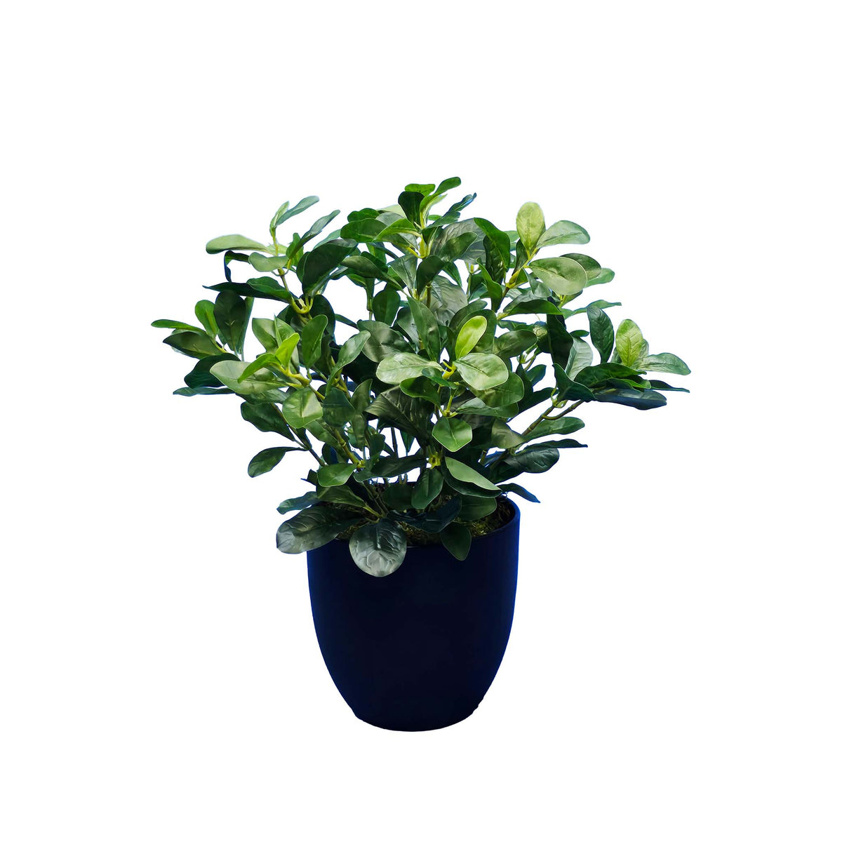 FAUX SCHEFFLERA POTTED 40CM