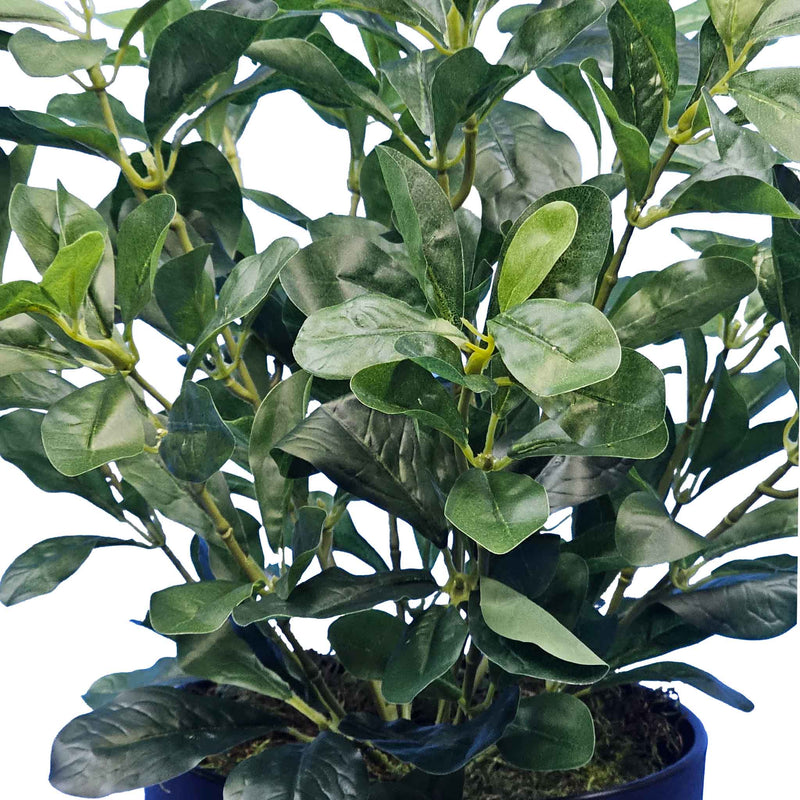 FAUX SCHEFFLERA POTTED 40CM CLOSE UP
