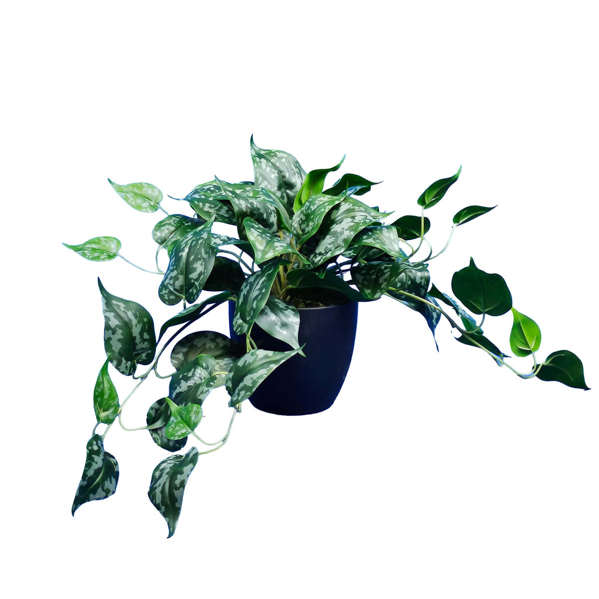 POTTED FAUX SCINDAPSIS 40CM