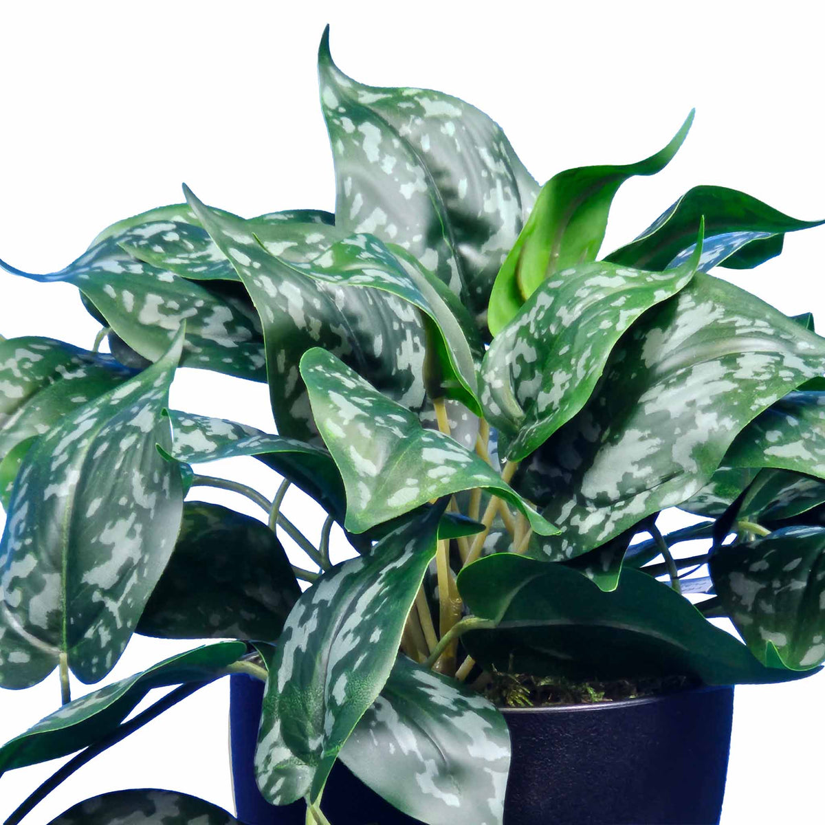 POTTED FAUX SCINDAPSIS 40CM CLOSE UP