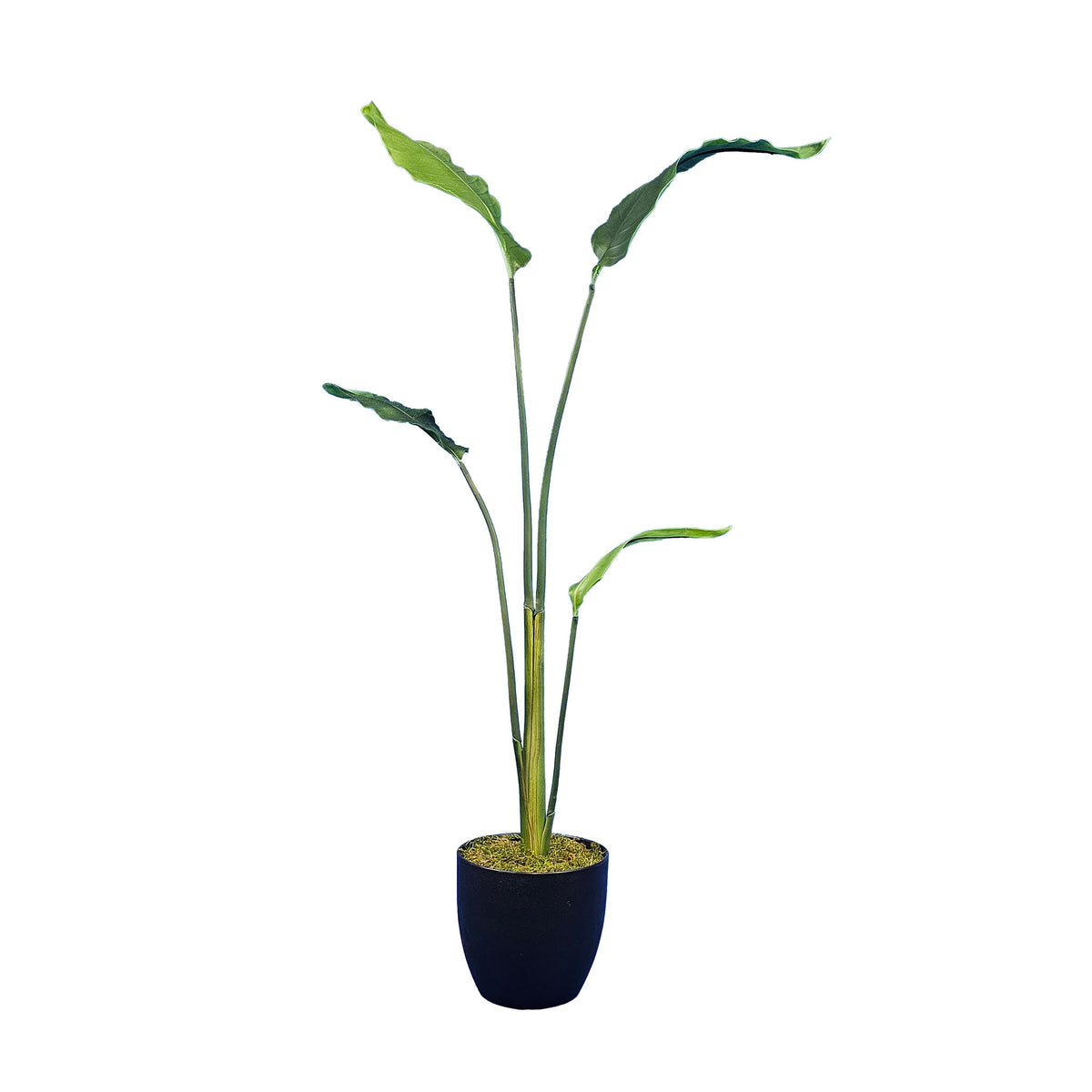 Potted Banana Leaf Branch - 124cm