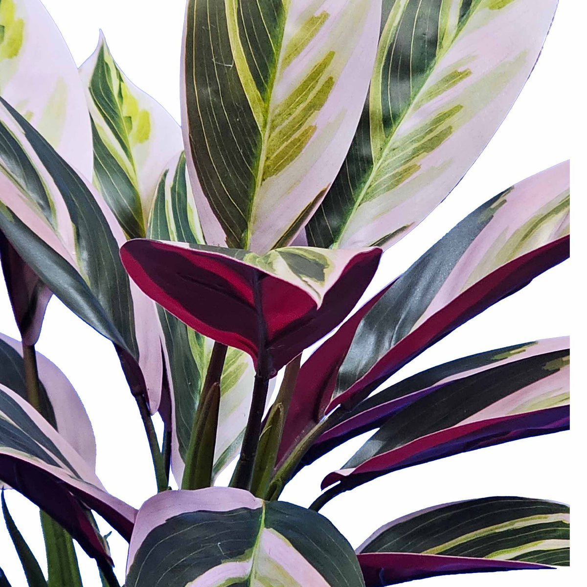 FAUX POTTED TRI COLOUR STROMANTHE 40CM CLOSE UP