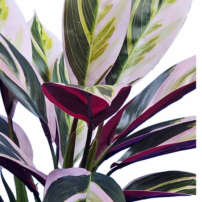 FAUX POTTED TRI COLOUR STROMANTHE 40CM CLOSE UP