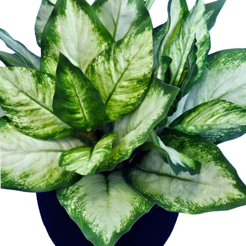 Artificial Potted Diffenbachia 44cm Close up