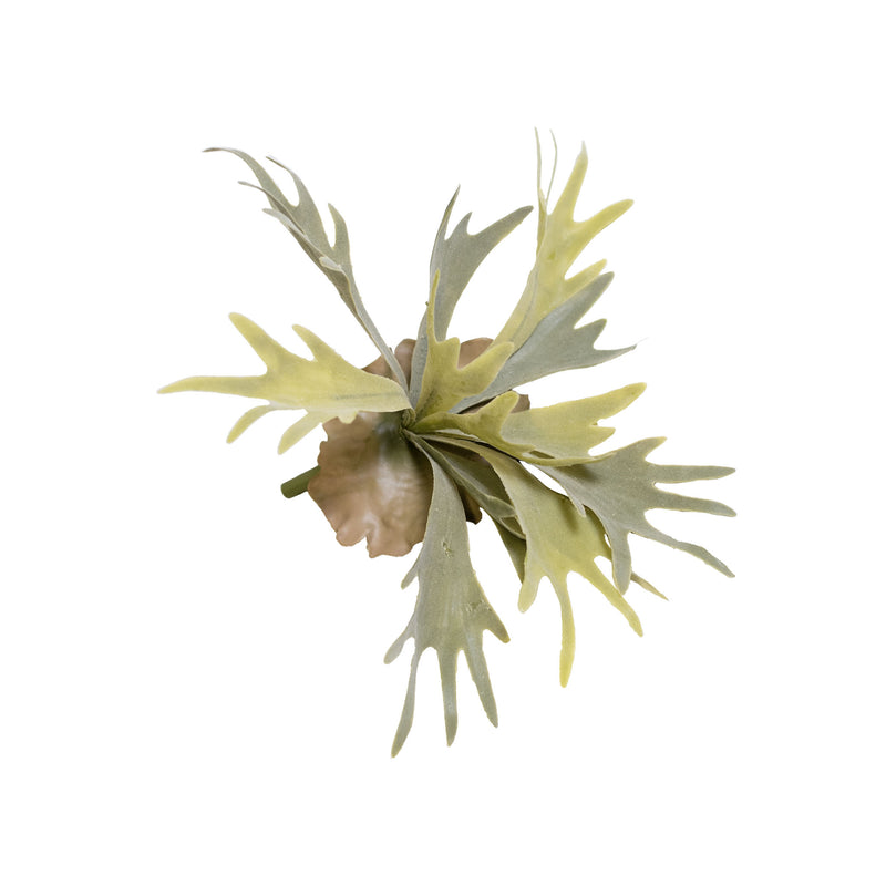 Filler Staghorn Plant 28cm Plant Couture Artificial Plants