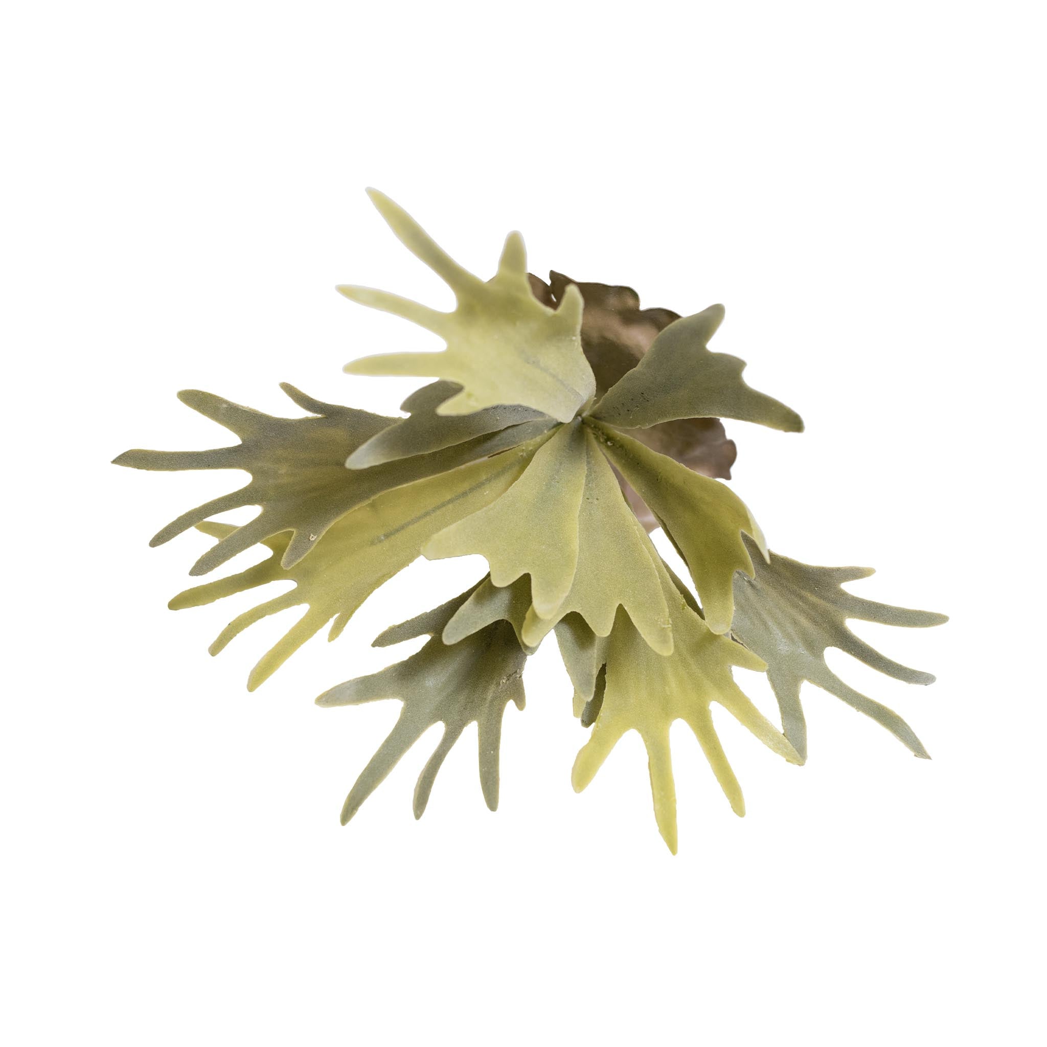 Filler Staghorn Plant 28cm Plant Couture Artificial Plants