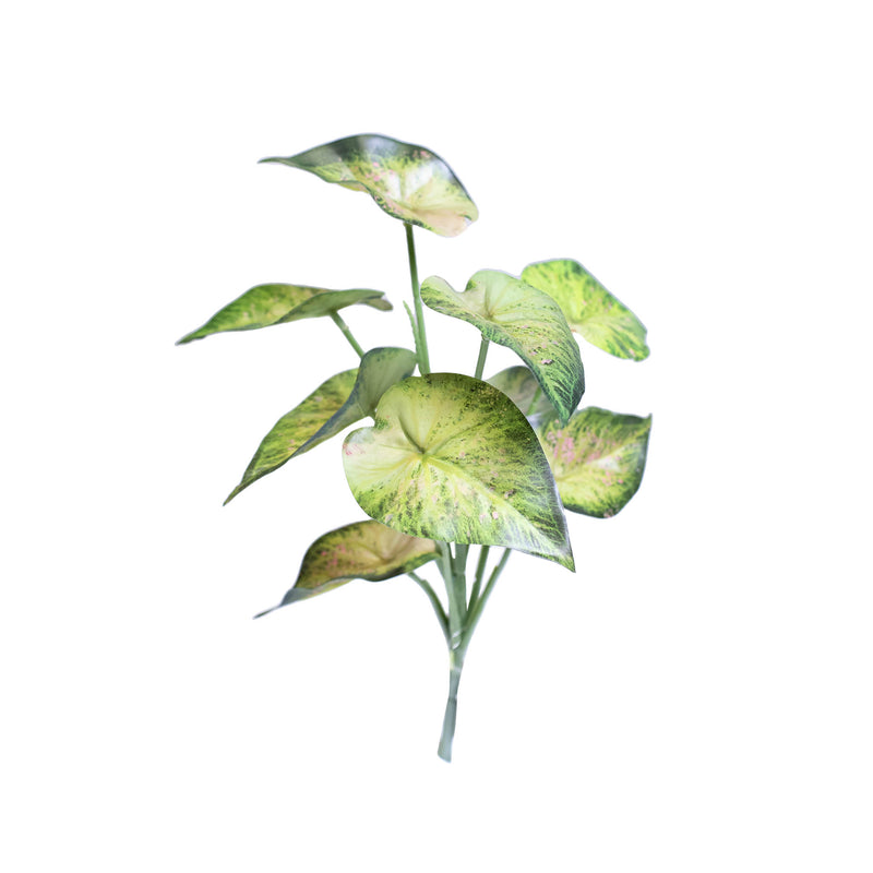 Filler Syngonium bunch 31cm - Plant Couture - Artificial Plants