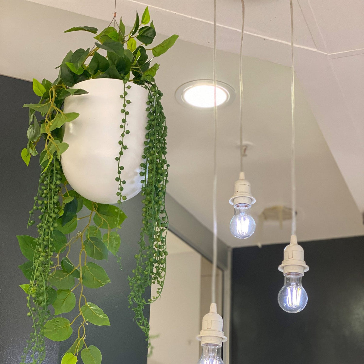 Hanging artificial plants in hanging basket. Perfect for home and office. Faux plants available from www.plantcouture.co.za