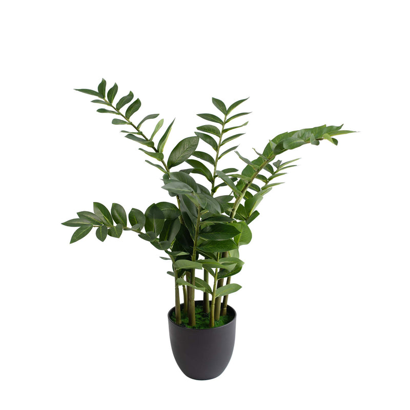 A faux zamifolia plant in a modern black pot. The plant is approximately 90cm tall and has a lush, full appearance.