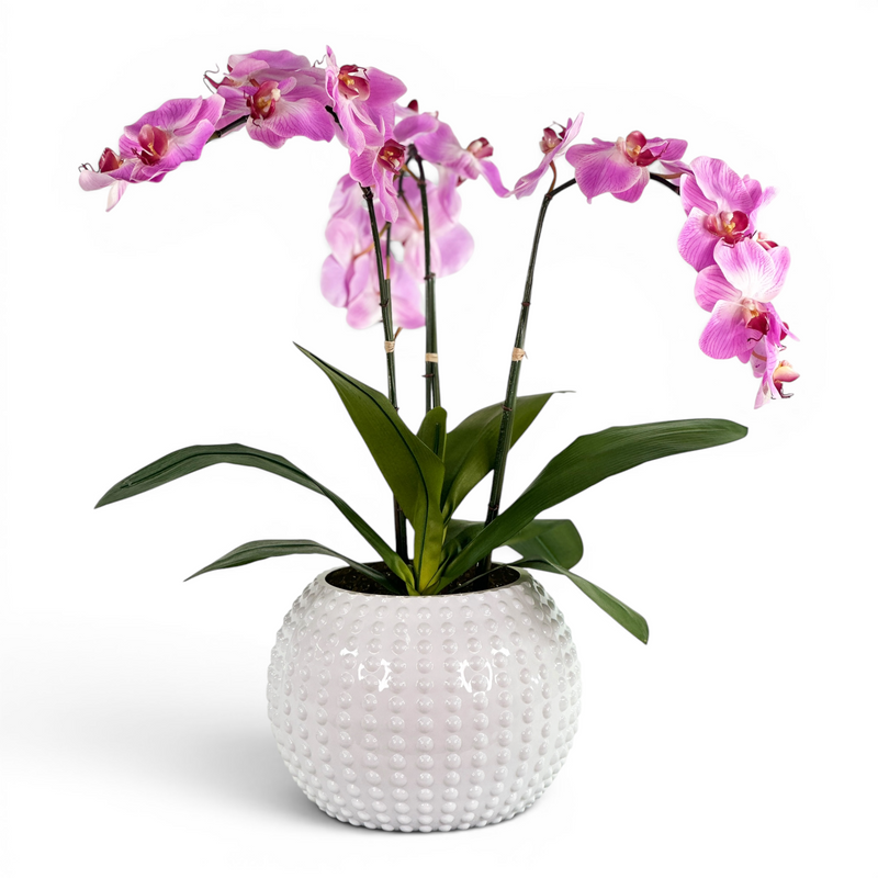Faux Phalaenopsis Flower arrangements soft Purple-Pink Flowers in White sea urchin vase