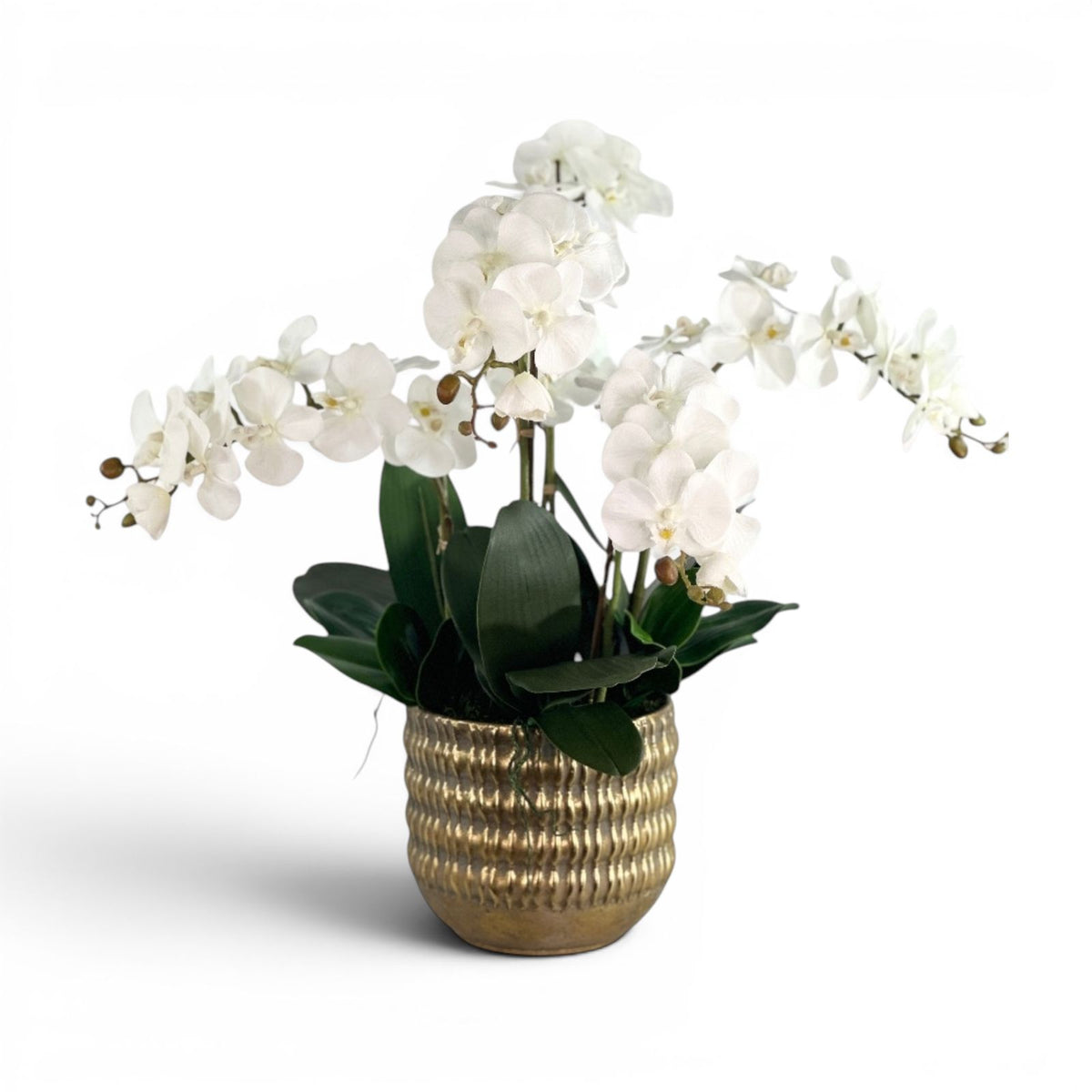 White faux phalaenopsis orchids in a gold pot on a white background