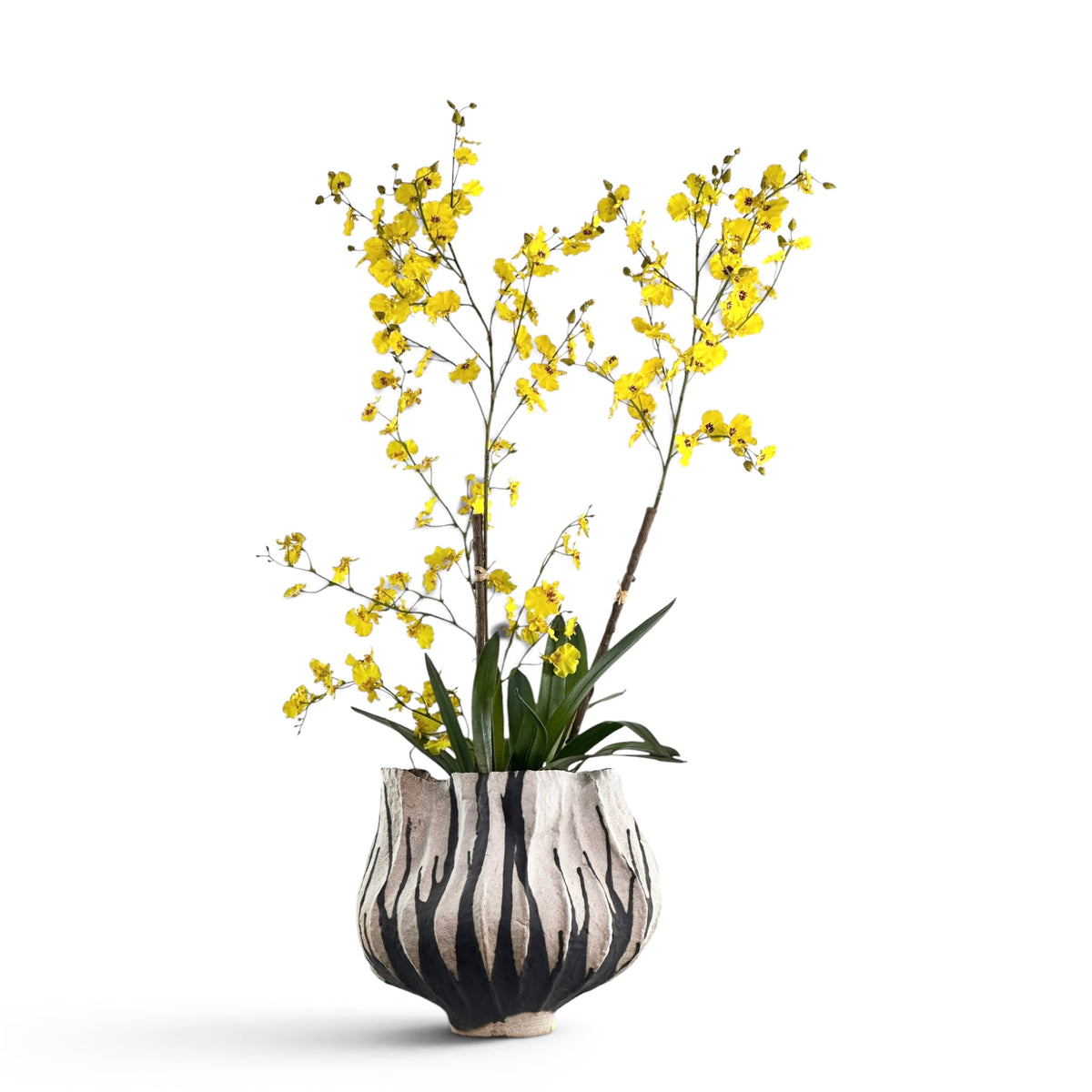 Yellow faux Dancing Orchids in a zebra-patterned  ceramic vase on a white background