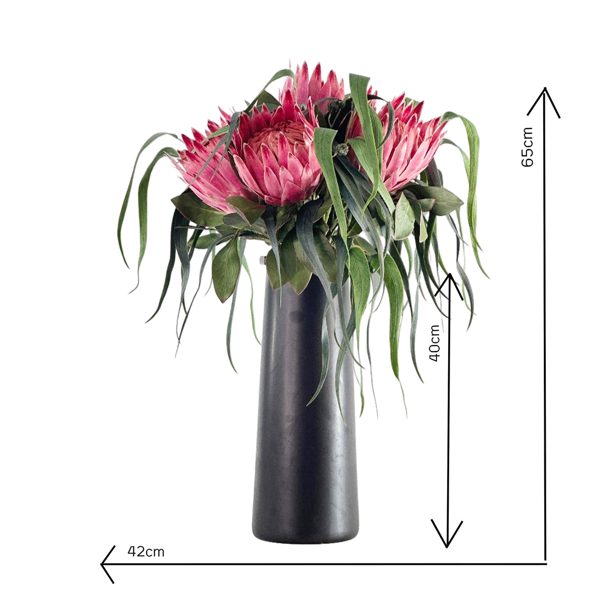 Faus Protea Floral arrangement in a vase with dimensions indicated on a white background