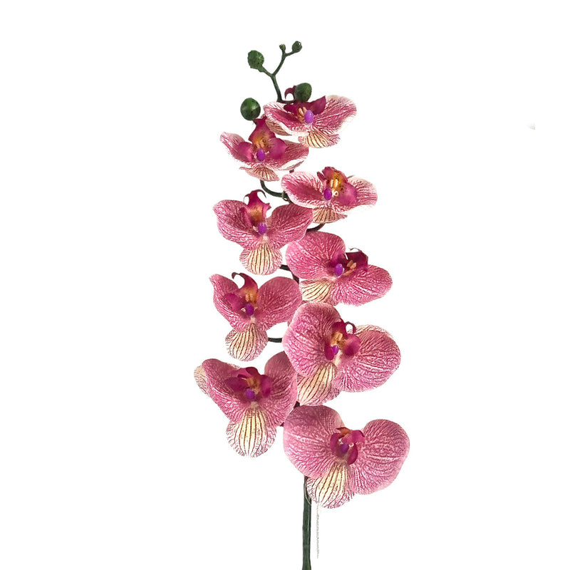 Faux Pink Phalaenopsis Orchid 100cm