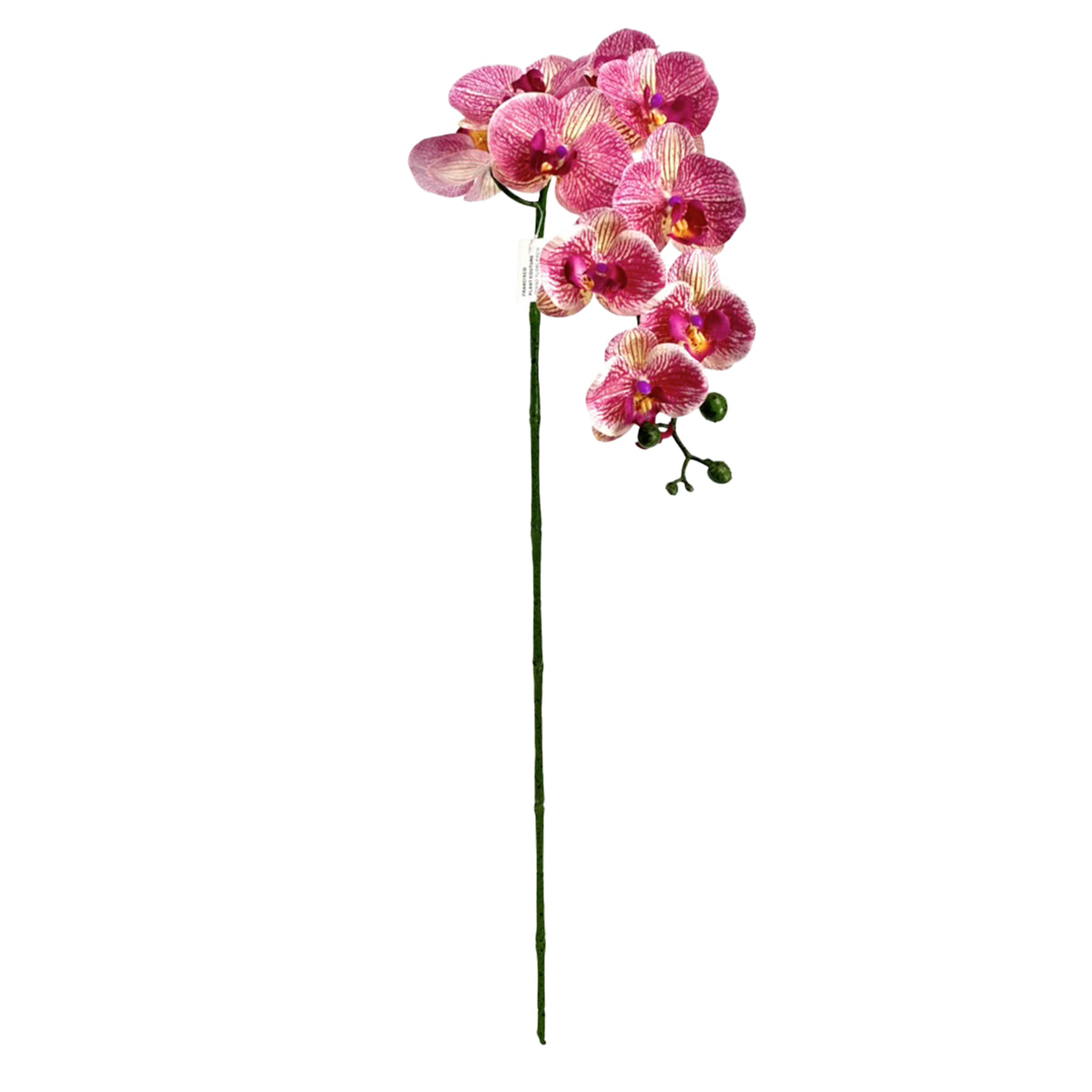 Faux Pink Phalaenopsis Orchid 100cm