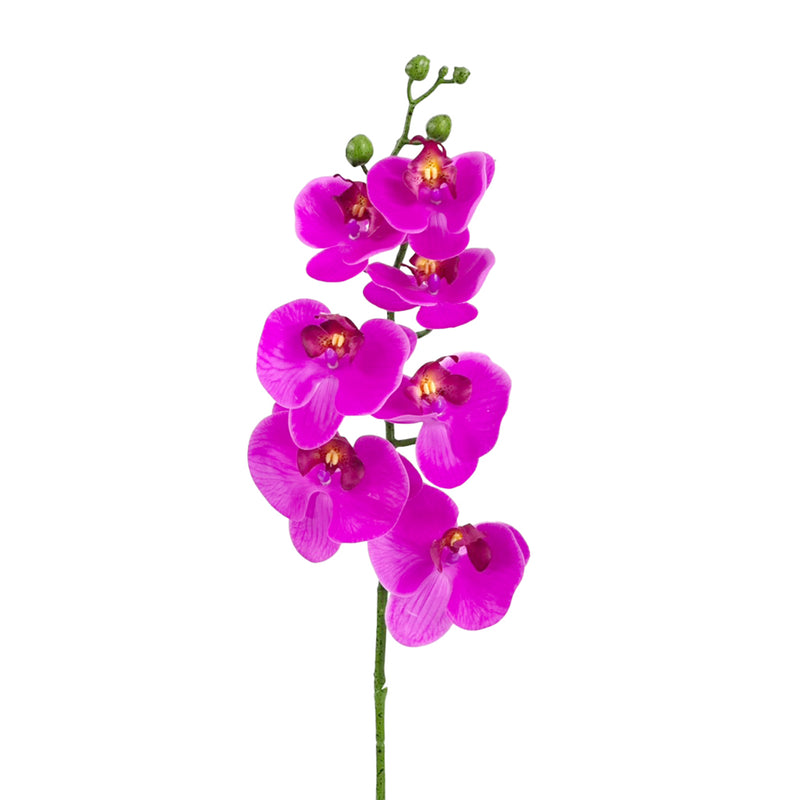 close up of Faux Phalaenopsis Orchid Fushia colour Real touch with 7 flowers 84cm