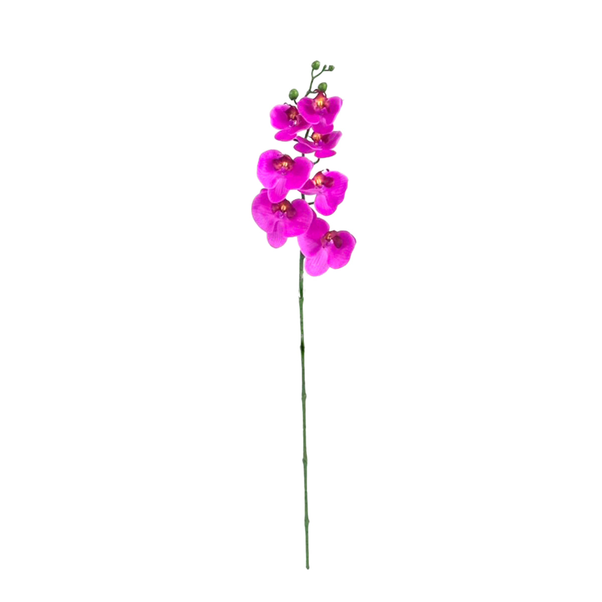 Faux Phalaenopsis Orchid Fushia colour Real touch with 7 flowers 84cm