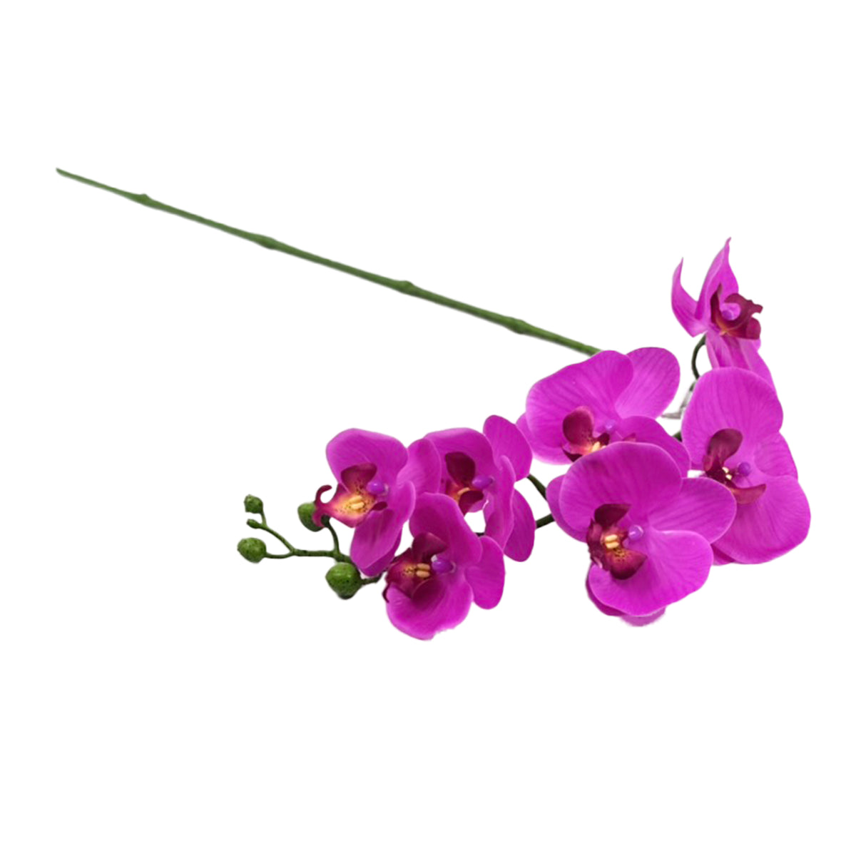 Artificial Phalaenopsis Orchid Fushia colour Real touch with 7 flowers 84cm