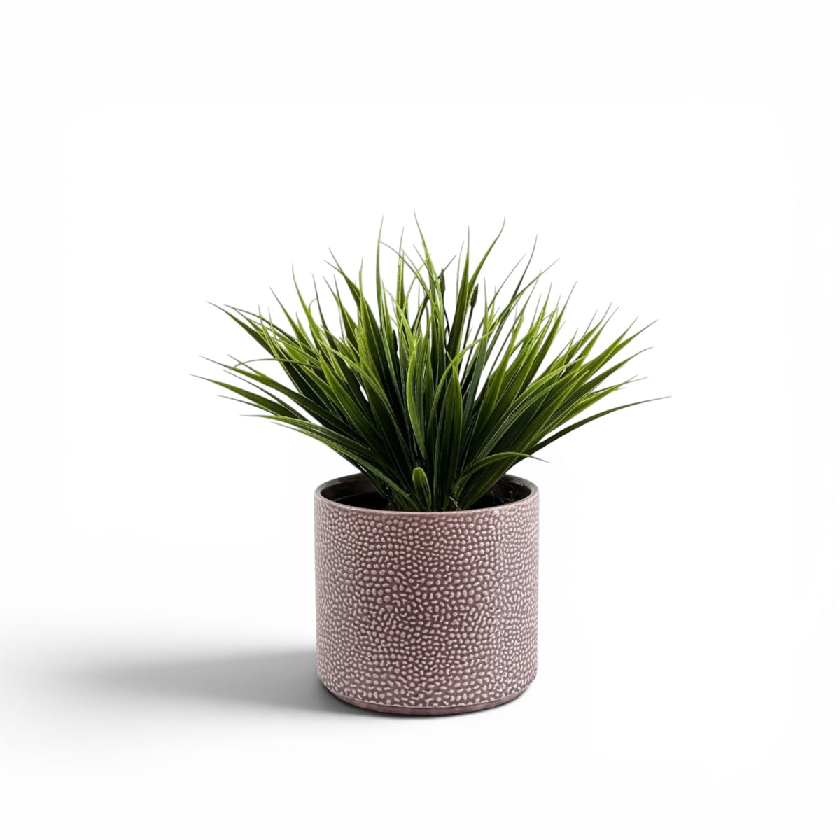 FILLER GRASS HEAD IN CORNELIA STREET POT