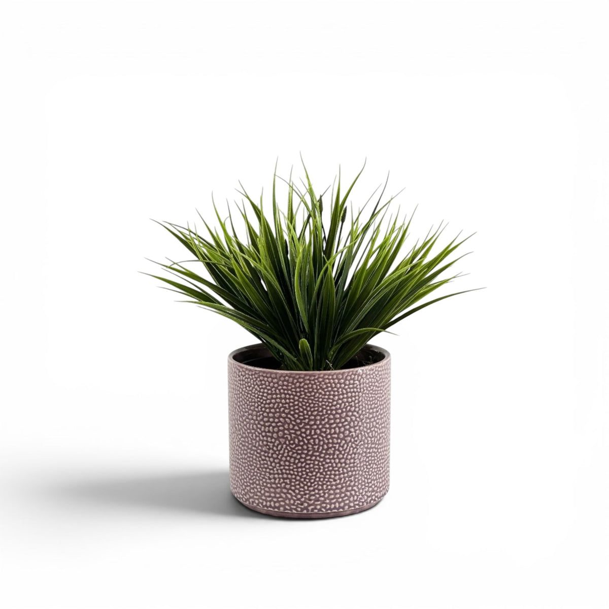 FILLER GRASS HEAD IN CORNELIA STREET POT