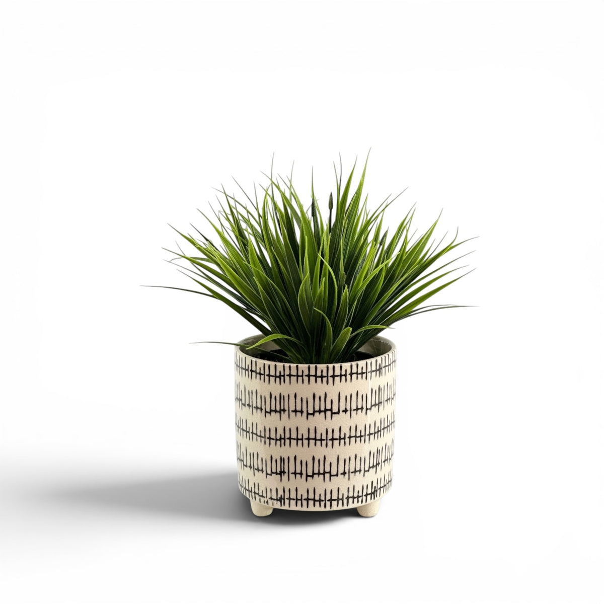 FILLER GRASS HEAD IN KRAAL POT
