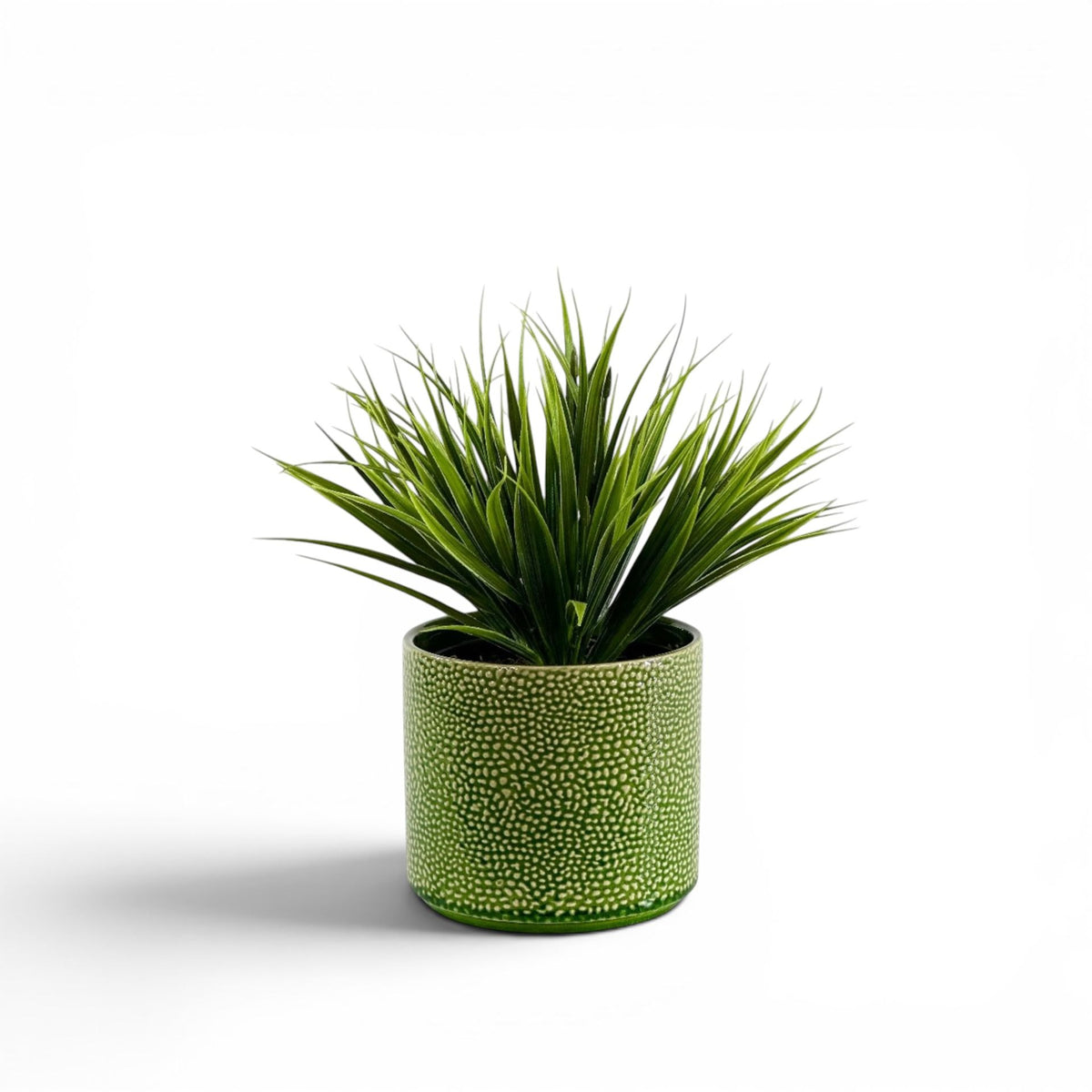 FILLER GRASS HEAD IN PESTO POT