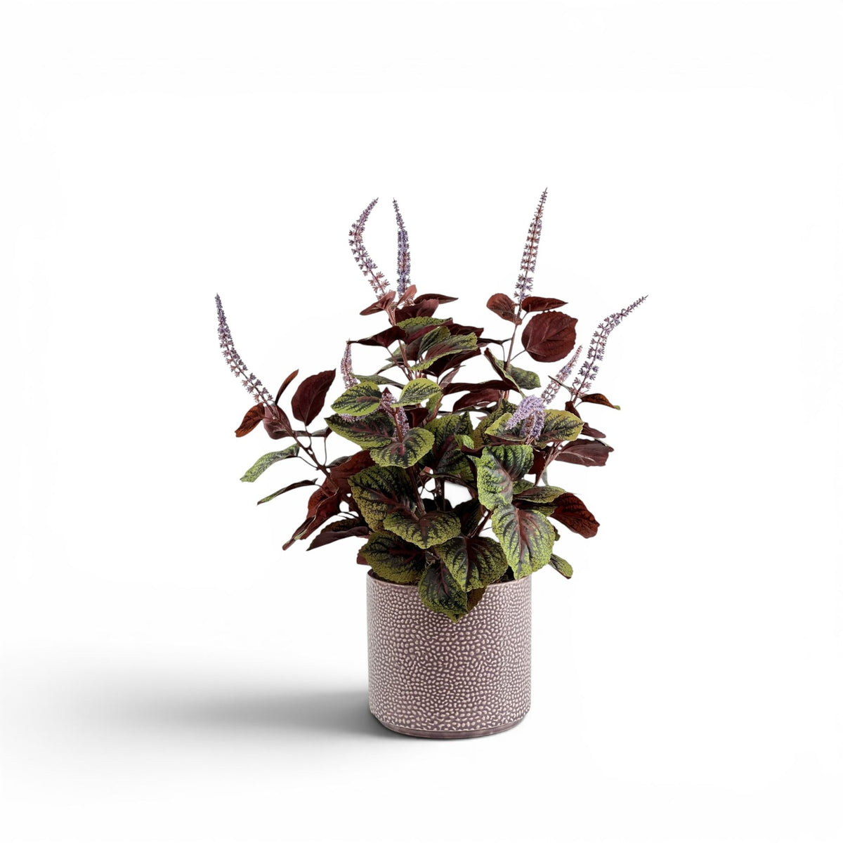 PERILLA FILLER IN CORNELIA STREET POT
