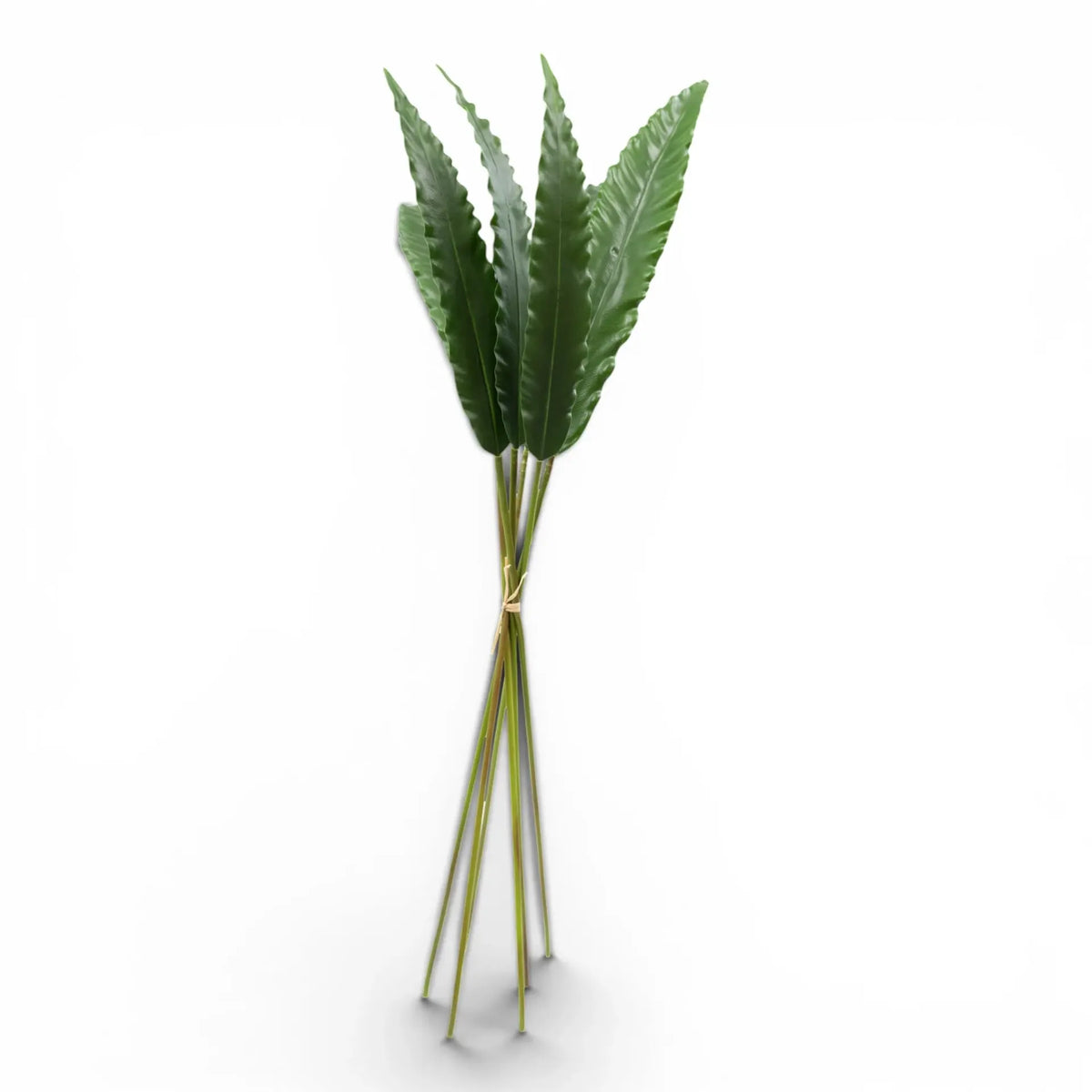Spear Leaf - 72cm